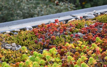 the cost of Laggan green roof installation