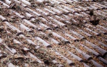 Laggan roof cleaning companies