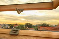 rated Laggan roof window companies